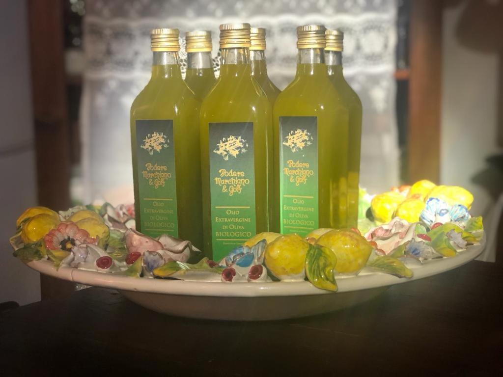 Agriturismo Podere Marchiano Larciano Ngoại thất bức ảnh